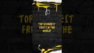 Top 10 Rarest Fruits in the World || #shorts #ytshort #viralshorts