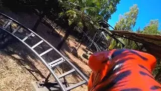 Tiger Trek (HD POV) - Oakland Zoo California