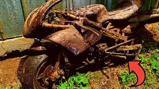 Honda CBR Minibike - Restoration Abandoned rusty Minibike