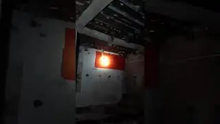 Alhamdulillah nanti panen lagi 01-02-2026