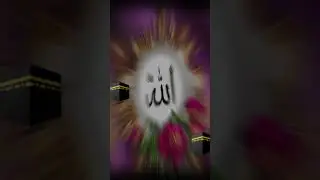 ISLAMIC REPUBLIC OF IRELAND INTERNATIONAL COMMUNITY IN THE FIRST PLACE BAY BAY