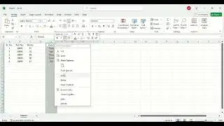 Inserting blank columns and rows