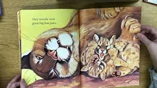 Little Lions by Jim Arnosky read aloud book