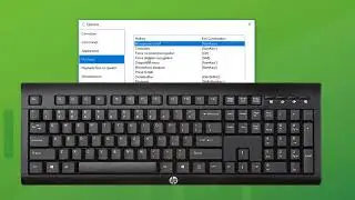 Options & Settings - Dragon Professional Individual
