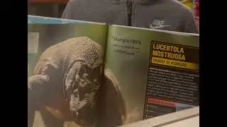 La lucertola di komodo