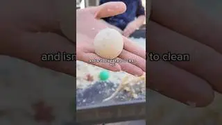 Moon Sand: Sensory Activity for Toddlers and Preschoolers.