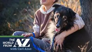 Does Owning a Dog Improve Teens' Mental Health?