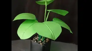 How to make paper plant /at home