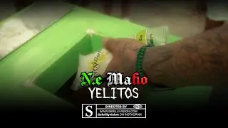 N.E Mafio - Yelitos Music Video