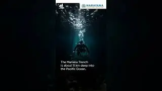 Dive into Mystery: Unveil the Fascinating Secrets of Mariana Trench