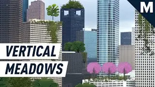 Fixing City Noise, Stress, and Pollution Using Only Plants | Mashable