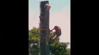 Blocking Down a Tree - Negative Rigging - Central Coast NSW