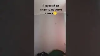 #shortmeme #котик Малёк #машаимедведь