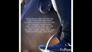 Equestrian quotes and words to live by