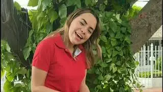 Himno a Santa Marta