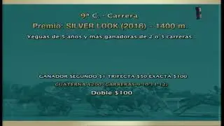 Carr.9 Premio: SILVER LOOK (2016) 11-07-2023