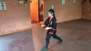 Wu hsing Chuan - segunda serie - combate
