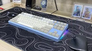Zoom TKL w/ Mx blacks | CF Plate