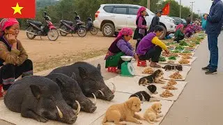 Vietnam Highland Food Market - Authentic Street Food Experience | Rural Market