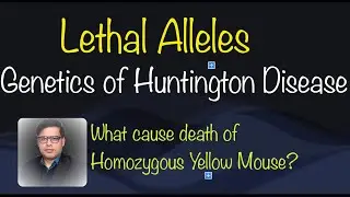 Genetics Class Lethal Alleles- Death of Yellow Mouse- Huntington Disease Genetics #drvikashbhardwaj