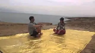 CheGolden2