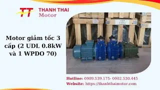 Motor giảm tốc 3 cấp (2 UDL 0.8kW và 1 WPDO 70) - Thành Thái Motor