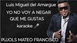 Luis Miguel Del Amargue YO NO VOY A NEGAR QUE ME GUSTAS karaoke