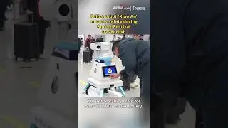 Police robot 'Xiao An' ensures safety during Spring Festival travel rush