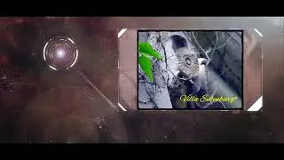 Arte&acute;26* Classics - EARTH HEALTH MMXXVI - &eacute;LAN* - Art Gallery Drum ePRO* - DFG*/ GER 26-01-05 SPIRIT