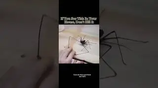 Я бы реально сожгла дом дотла 😭😭😭