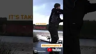 Screaming Carp Run !