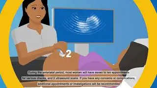 My Maternity Journey (English)