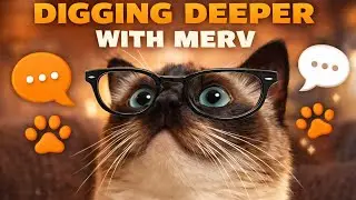 Merv TOUR Continues! Digging Deeper Into Merv’s World 🐾 Q&A