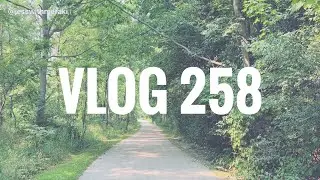 silent vlog #258 | dim sum, nature walks, hydrangeas lilies tulips, mr wheel taiwan wheel pie