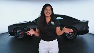 14009  Security Dodge   Contest Entry V3 Mar&iacute;a Camila Tabares
