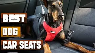 Best Dog Car Seat In 2026 - Top 10 Dog Car Seats Review