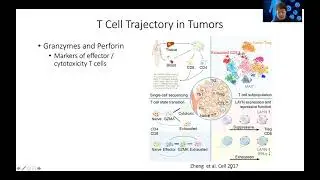 STAT115 Chapter 27.2 T Cell Activation and Dysfunction