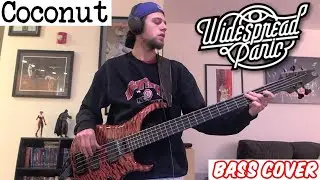Coconut - Widespread Panic | Bass Cover
