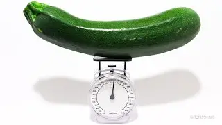 213 Days Zucchini on Scale Timelapse