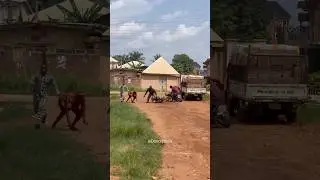 Run and ask questions later 🤣🤣 #dancephilos #prank