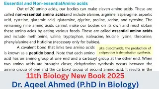 11th Class Biology Chapter 4 | Proteins, Structure of Proteins | Class 11th Biology New Book 2025