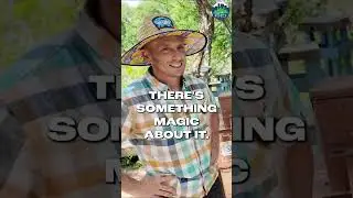 Campaigning on Sharp's Island is a MUST