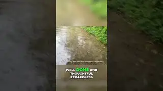 Засоряя под дождем кокосы и секреты Кайоги!