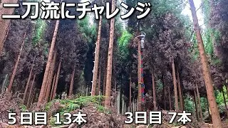二刀流！アルミと木製梯子【2025年1月19日】5日目 13本