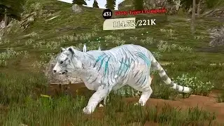 The Wolf - White Tiger Champion In Featured Green Hills 🏆