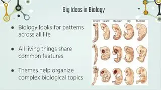 The Major Themes of Biology | Chemistry of Life (Ep. 1)