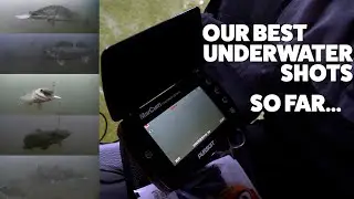 Insane underwater footage! Top Underwater Ice Fishing Strikes so far!