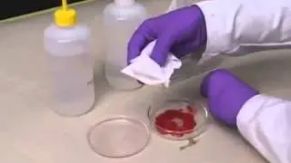 Fabrication of DSSC Solar Cell