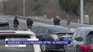 911 calls released from deadly I-65 shooting