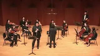 Johann Stamitz Clarinet Concerto in B flat major  1st mov. Allegro moderato